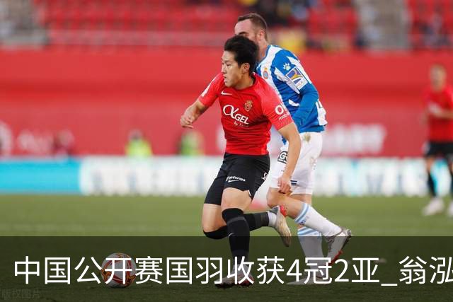 中国公开赛国羽收获4冠2亚 翁泓阳李罗组合首夺冠